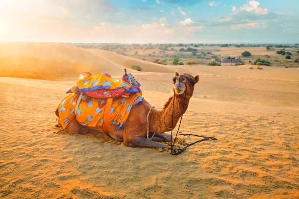 Pushkar Tour Package