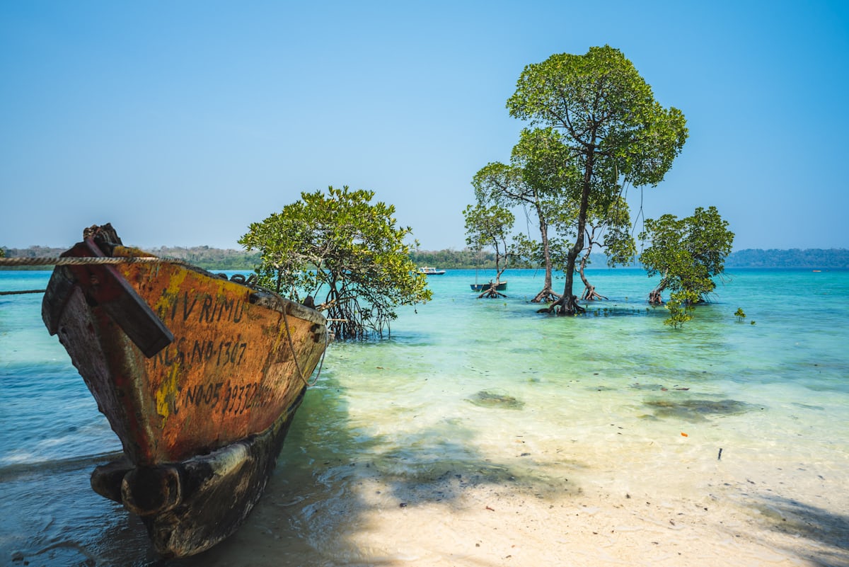 Amazing Holidays in Andaman