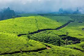 Sikkim Darjeeling Tour Package